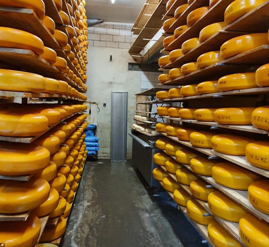El auténtico queso Gouda de la granja de queso Holandesa, Página de inicio de Craxi queso gouda artesanal