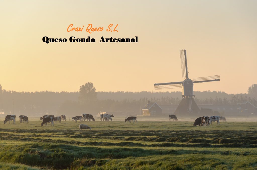 Home Craxi queso, the authentic Dutch Gouda cheese