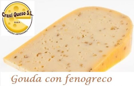 Fenogreco queso, artesanal queso al fenogreco elaborado con leche cruda de vaca, queso gouda de granja