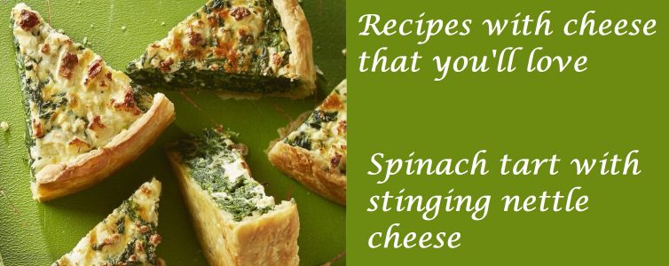 Recipes with artisan cheese that you will love, spinach tart with stinging nettle cheese