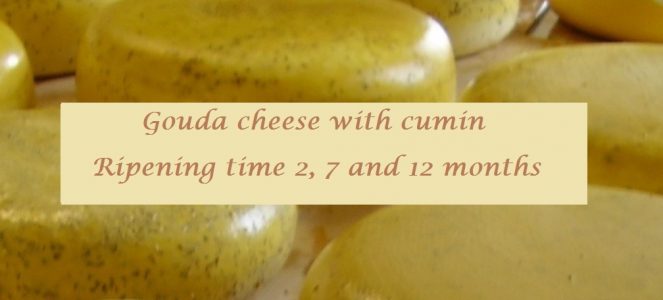 Price for 7 months matured artisanal gouda cheese with cumin, price per weight of 250 grams, 500, 750 and 1 kilo