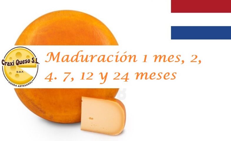 Precio queso gouda holandés, precios por 250, 500, 750 gramos y 1 kilo
