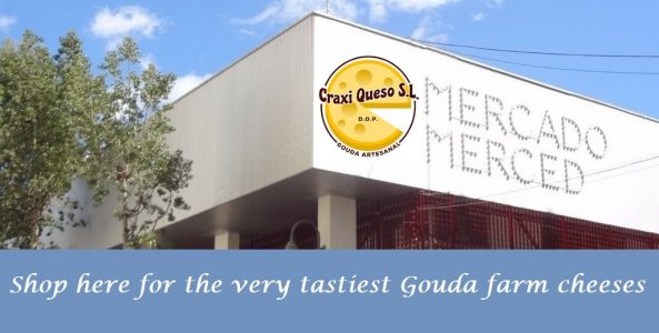 Buy here at the mercado de la merced, malaga the tastiest Gouda farm raw milk cheese
