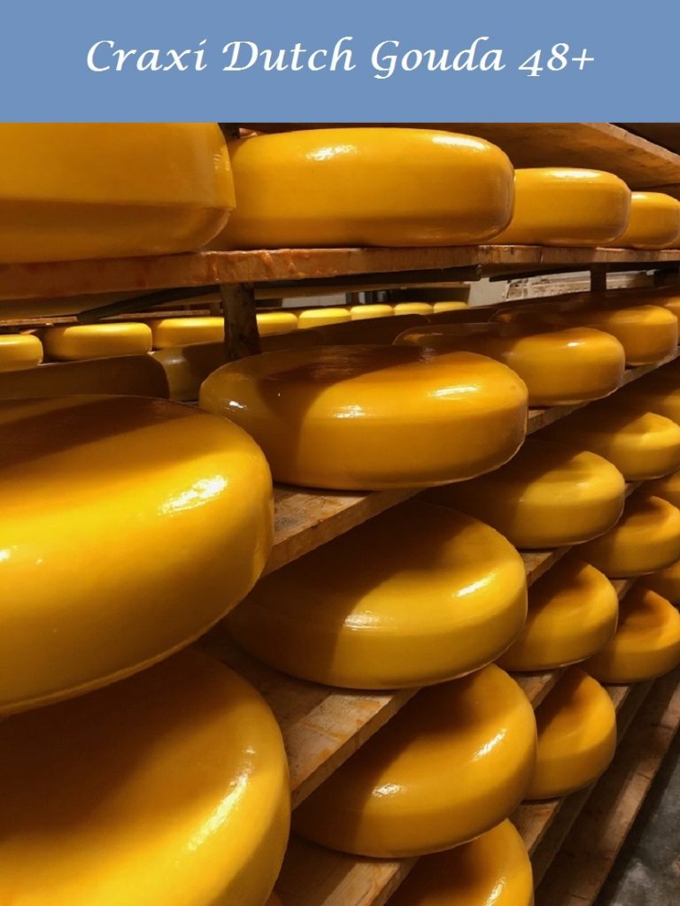 Craxi Dutch Gouda 48+ farm cheese