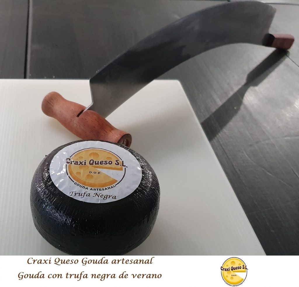 Queso con trufa negra, queso mini gouda artesano con trufa negra de verano, peso rueda 500gr.