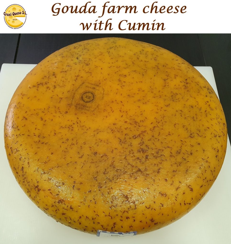 Whole Craxi Dutch raw milk cheeses with cumin of 12 kilo or in a freshly cut part of 500 gram or 1 kilo