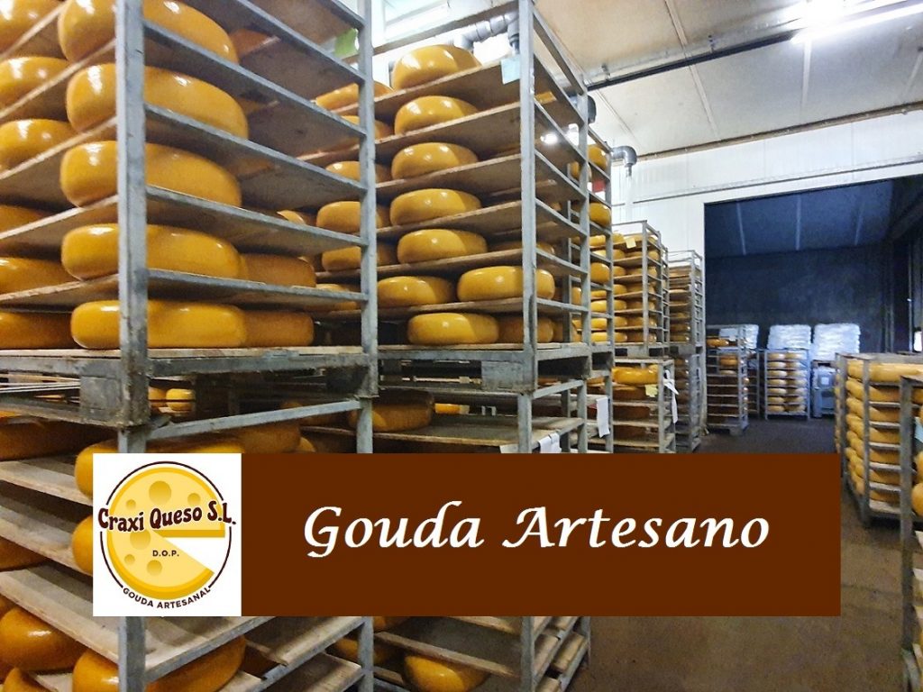 Queso Gouda natural Craxi madurado durante 2 - 4 - 6 - 8 - 12 - 24 y 36 meses, queso Gouda de leche cruda tradicional holandés