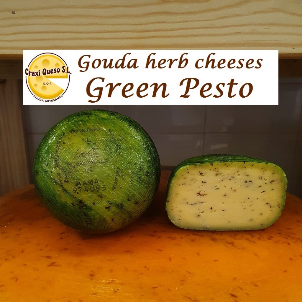 Dutch artisan Gouda cheese in Spain. Miniature Gouda cheese wheel with green pesto herbs.
