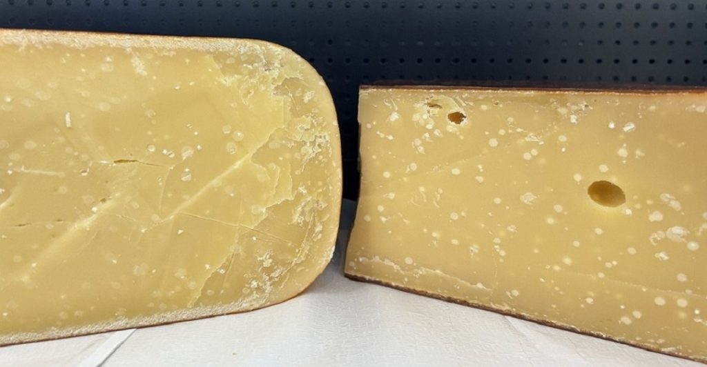 Quesos de vaca añejos. Queso Gouda artesanal (leche cruda) de 1 y 3 años de maduración natural con cristales