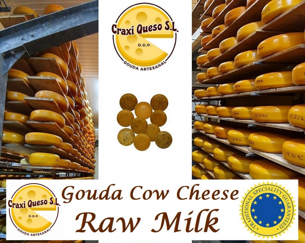 Traditional Dutch Gouda cheese from Craxi in Spain