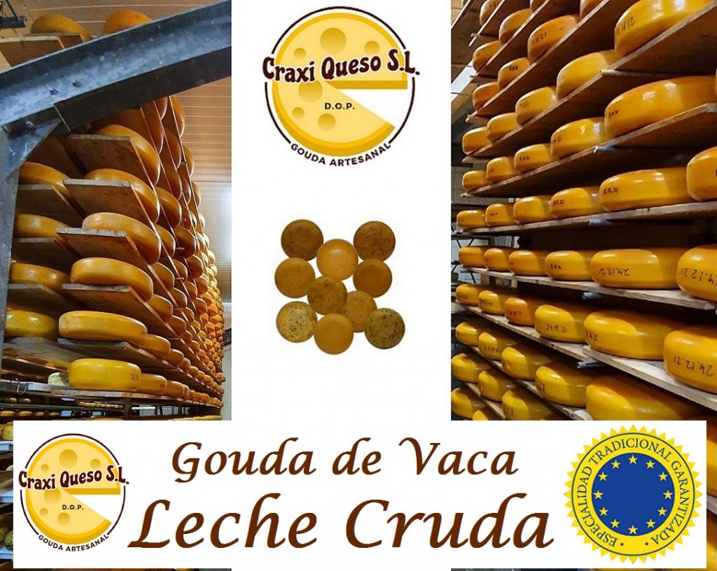 Queso Gouda holandés de Craxi en España. Quesos de vaca elaborados con leche cruda de los Países Bajos