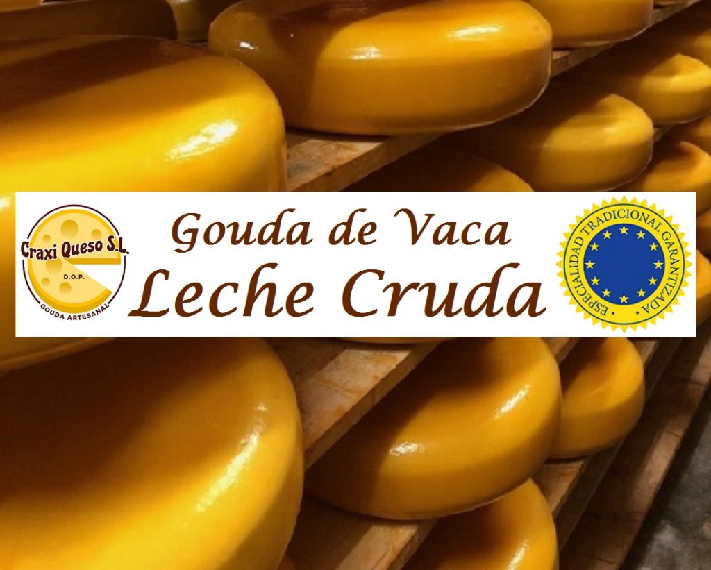 Queso curado de vaca de Craxi Queso en España. Queso Gouda holandés artesanal, elaborado con leche cruda