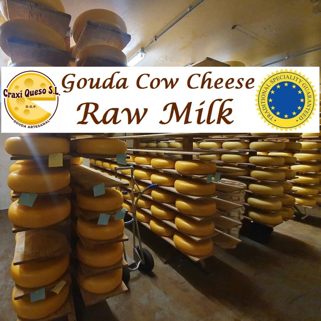Craxi raw cow's milk Gouda cheeses. Traditional Raw Cow's Milk Gouda Cheese Production