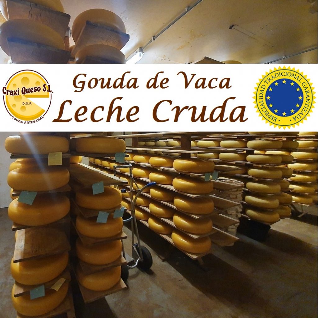 Quesos Gouda Craxi de leche cruda de vaca. Producción tradicional de queso Gouda de leche cruda de vaca
